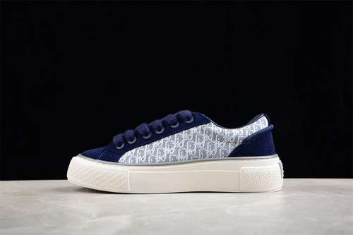 460DIOR X DENIM TEARS B33 WHITESLIVERBLUEMAN3845