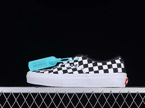 210VN0A5FC8FS8AUTHENTIC PRO BLACKWHITEWOMAN3539MAN4044