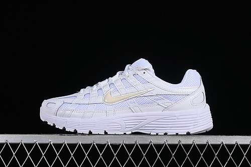 【300】[CD6404-100]-[P-6000 WHITE/WHITE/PLATINUM TINT]-[WOMAN:36-39]-[MAN:40-45]