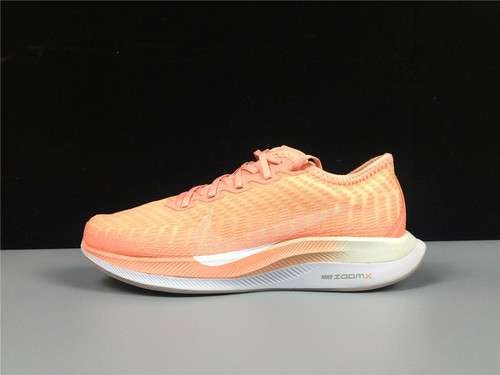 [64-62-70]-[AT8242-600]-[AIR ZOOM PEGASUS TURBO 2.0 PINK QUARTZ/PUMICE/SUMMIT WHITE]
