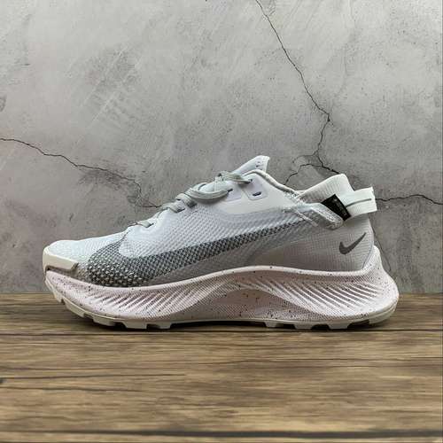 【300】[DC1933-100]-[PEGASUS TRAIL 2 GORE-TEX WHITE/WHITE/PURE PLATINUM/LIGHT SMOKE GREY]