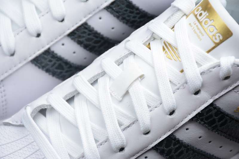 S79418 36---44 (3).jpeg