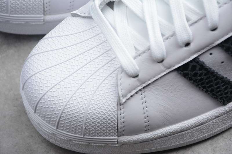 S79418 36---44 (2).jpeg