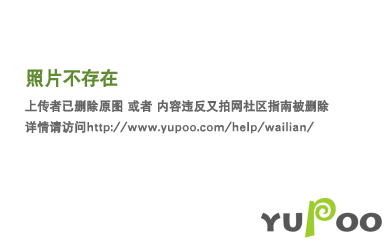 555088-302 40---46 (13).jpeg