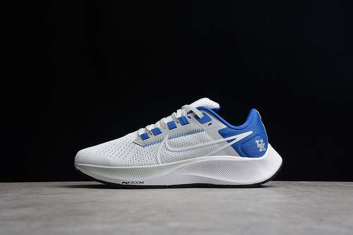 【290】[DJ0830-001]-[AIR ZOOM PEGASUS 38 KENTUCKY NIGHT SILVER/GAME ROYAL/BLACK/WHITE]-[MAN:39-45]