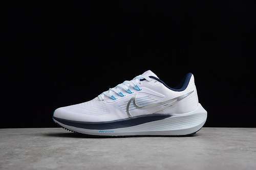 【270】[DH4071-105]-[AIR ZOOM PEGASUS 39 WHITE/SILVER/BLUE]-[MAN:39-45]
