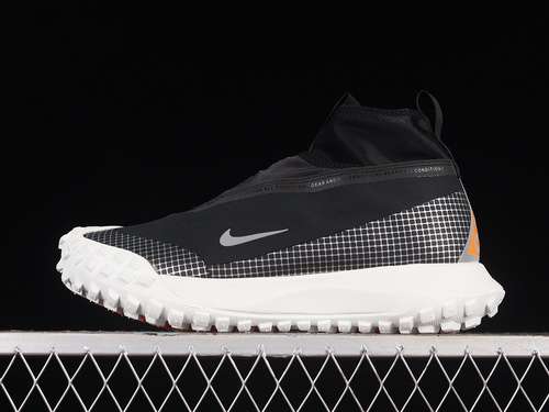 【320】[CT2904-001]-[ACG MOUNTAIN FLY GTX BLACK/METALLIC SILVER]-[WOMAN:36-39]-[MAN:40-46]