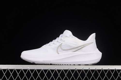 【280】[DH4072-100]-[AIR ZOOM PEGASUS 39 WHITE/WHITE/SILVER]-[WOMAN:36-39]-[MAN:40-45]