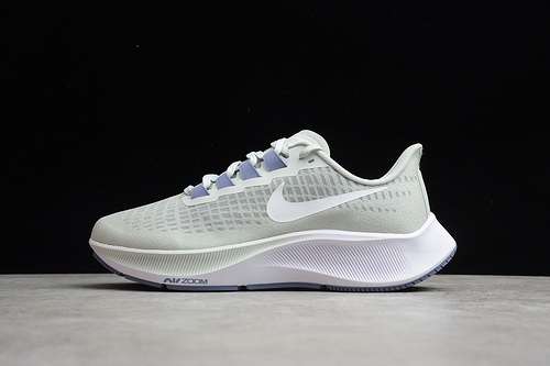 【280】[BQ9647-006]-[AIR ZOOM PEGASUS 37 LIGHT SILVER/WHITE]-[WOMAN:36-39]