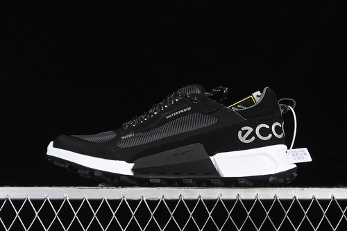 【380】[82381460568]-[BIOM2.1 WHITE/BLACK]-[MAN:39-44]