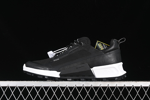 【380】[82382451052]-[EC*CO 2.1 BIOM BLACK/WHITE]-[MAN:39-44]