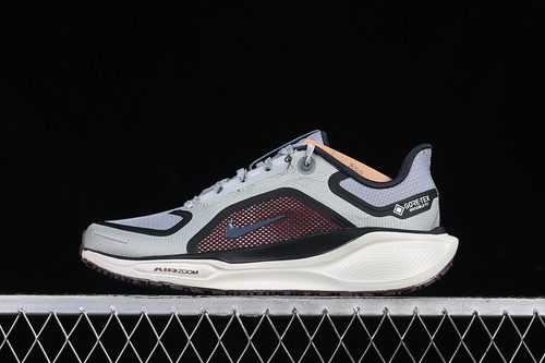 【260】[FQ1356-003]-[AIR ZOOM PEGASUS 41 GTX LIGHT PUMICE/BURGUNDY CRUSH/DARK SMOKE GREY/ASHEN SLATE]